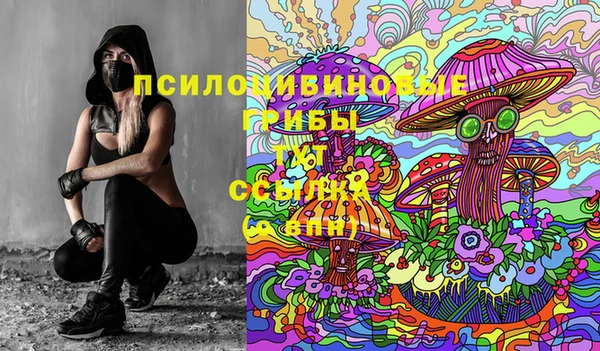 скорость Алексин