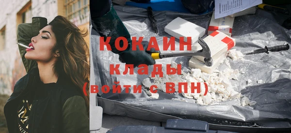 твердый Алзамай