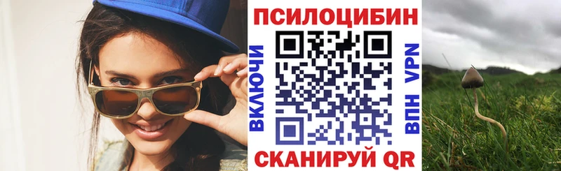 Псилоцибиновые грибы мухоморы  наркошоп  Билибино 